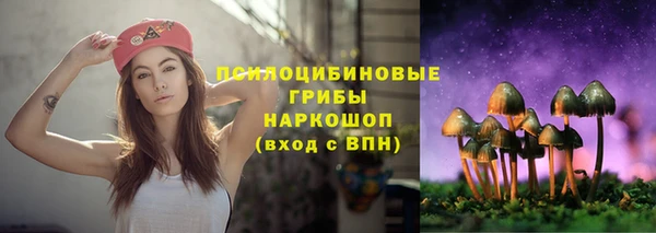прущая мука Магас