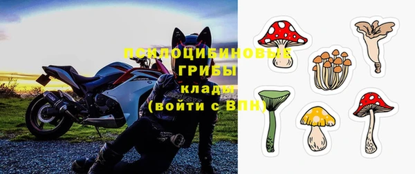 прущая мука Магас